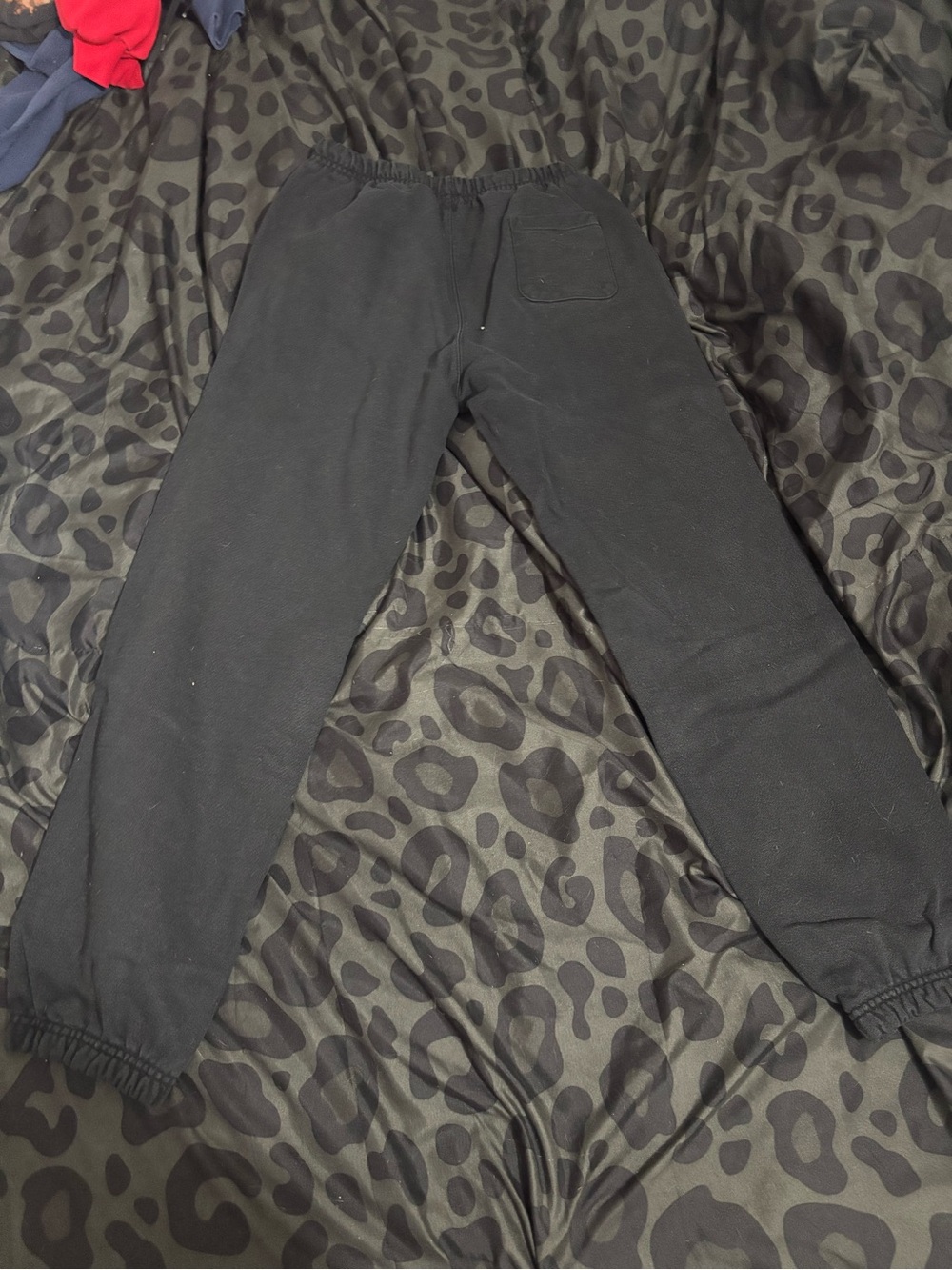 Champion sweat pants